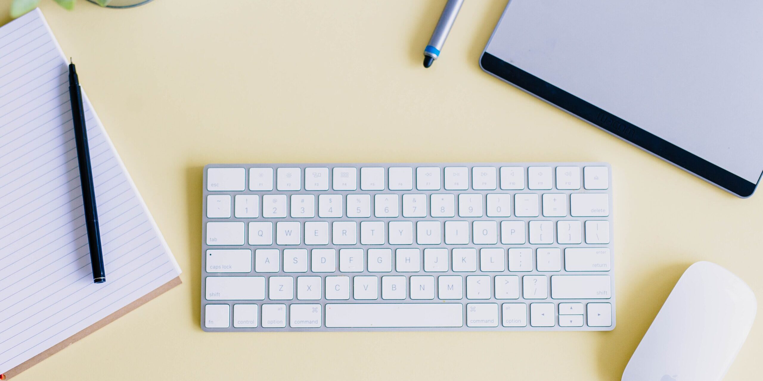 amy-hirschi-szrJ3wjzOMg-unsplash