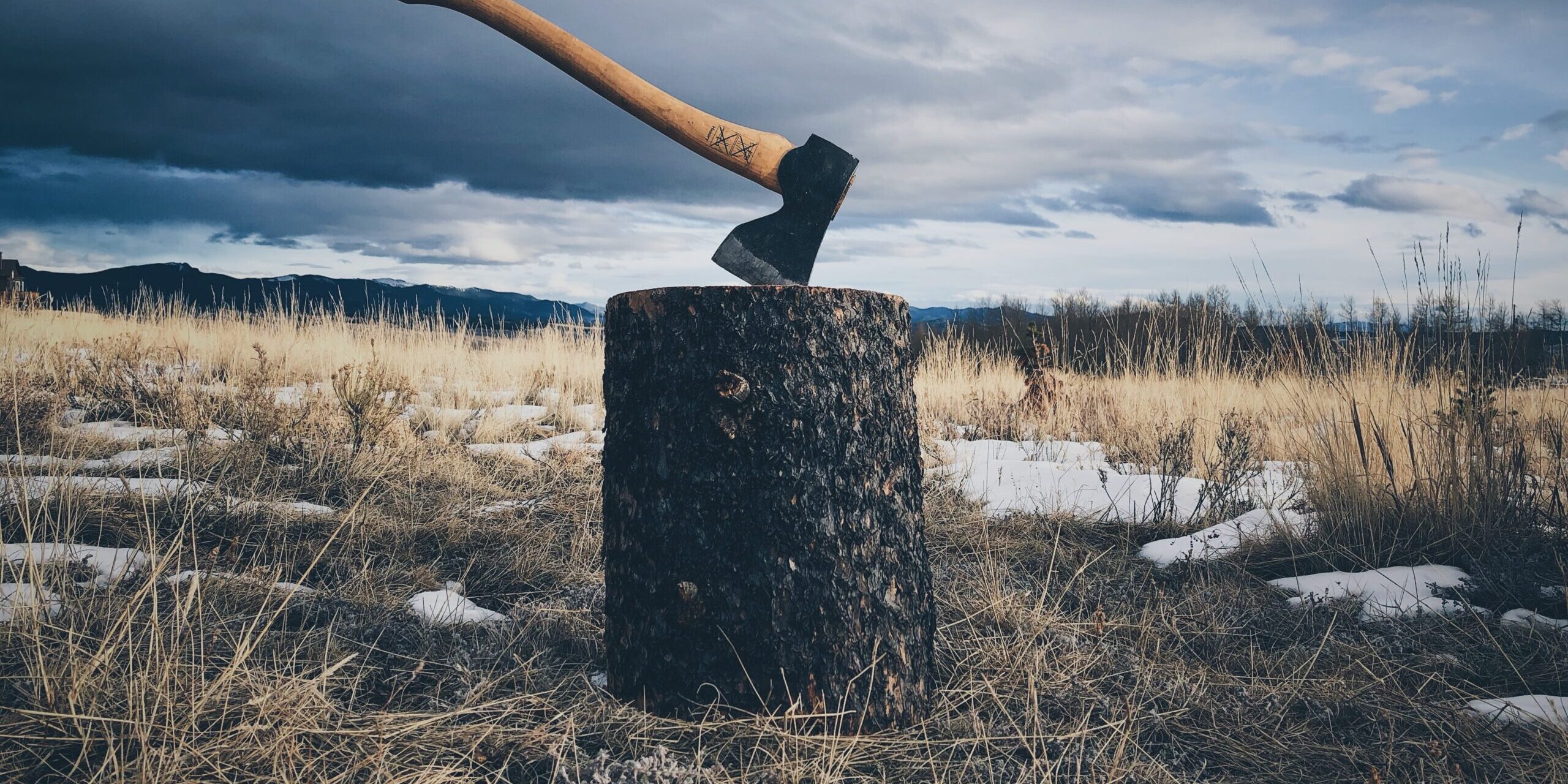 jason-abdilla-jZWmw6007EY-unsplash